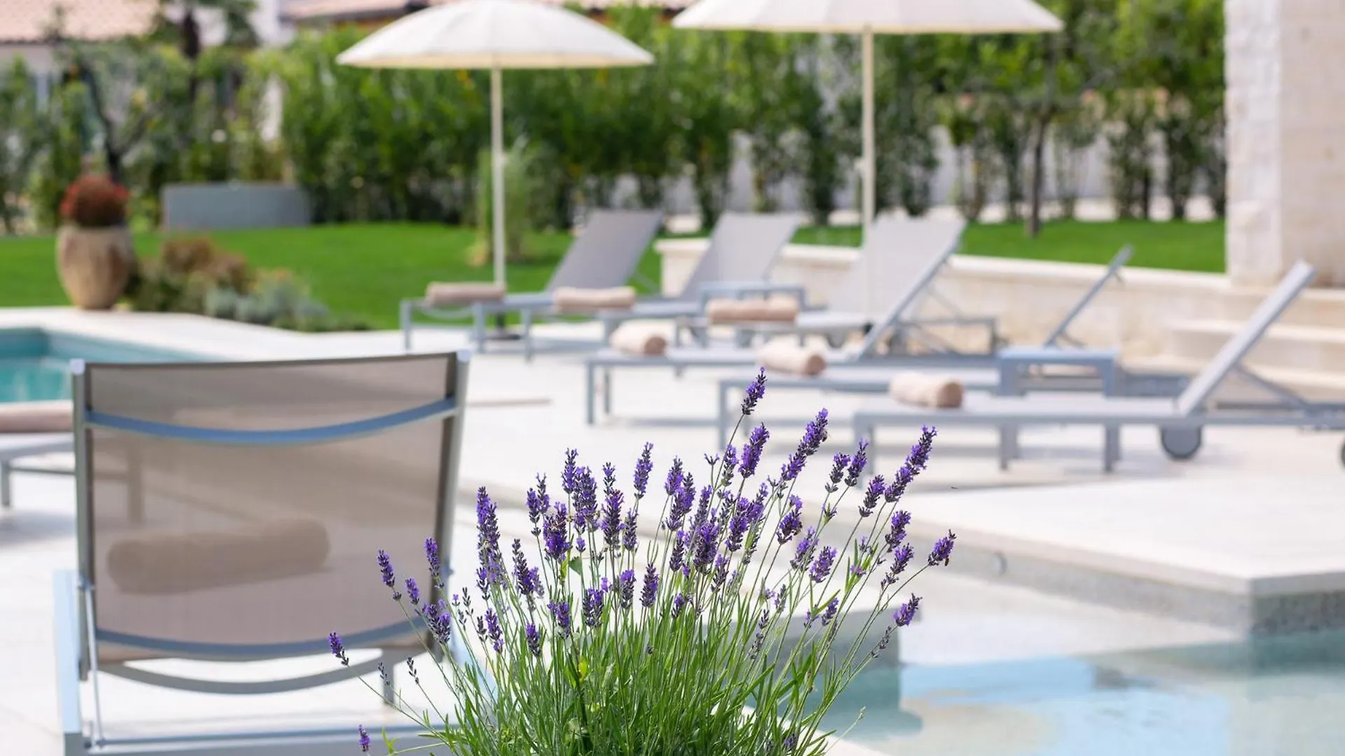 Kavran Mirana Luxury Villas